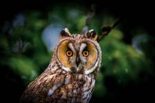 Julien SESIA - Julien-Sésia-Photographie©